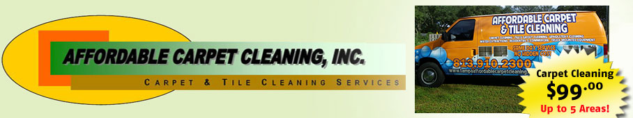 Carpet Cleaning Wesley Chapel FL - Logo