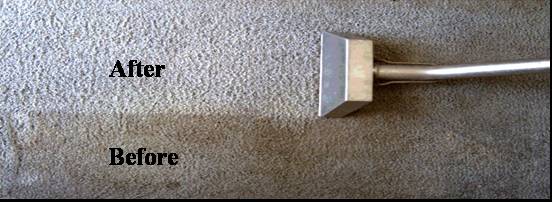 Carpet Cleaning Tampa